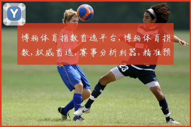 博狗体育指数首选平台,博狗体育指数,权威首选,赛事分析利器,精准预测必备,一触即达