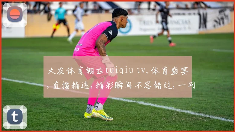 大发体育绷兹tuiqiu tv,体育盛宴,直播精选,精彩瞬间不容错过,一网打尽