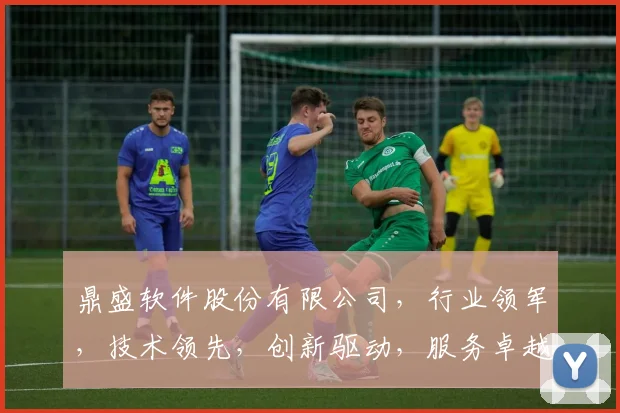 鼎盛软件股份有限公司，行业领军，技术领先，创新驱动，服务卓越，引领未来。
